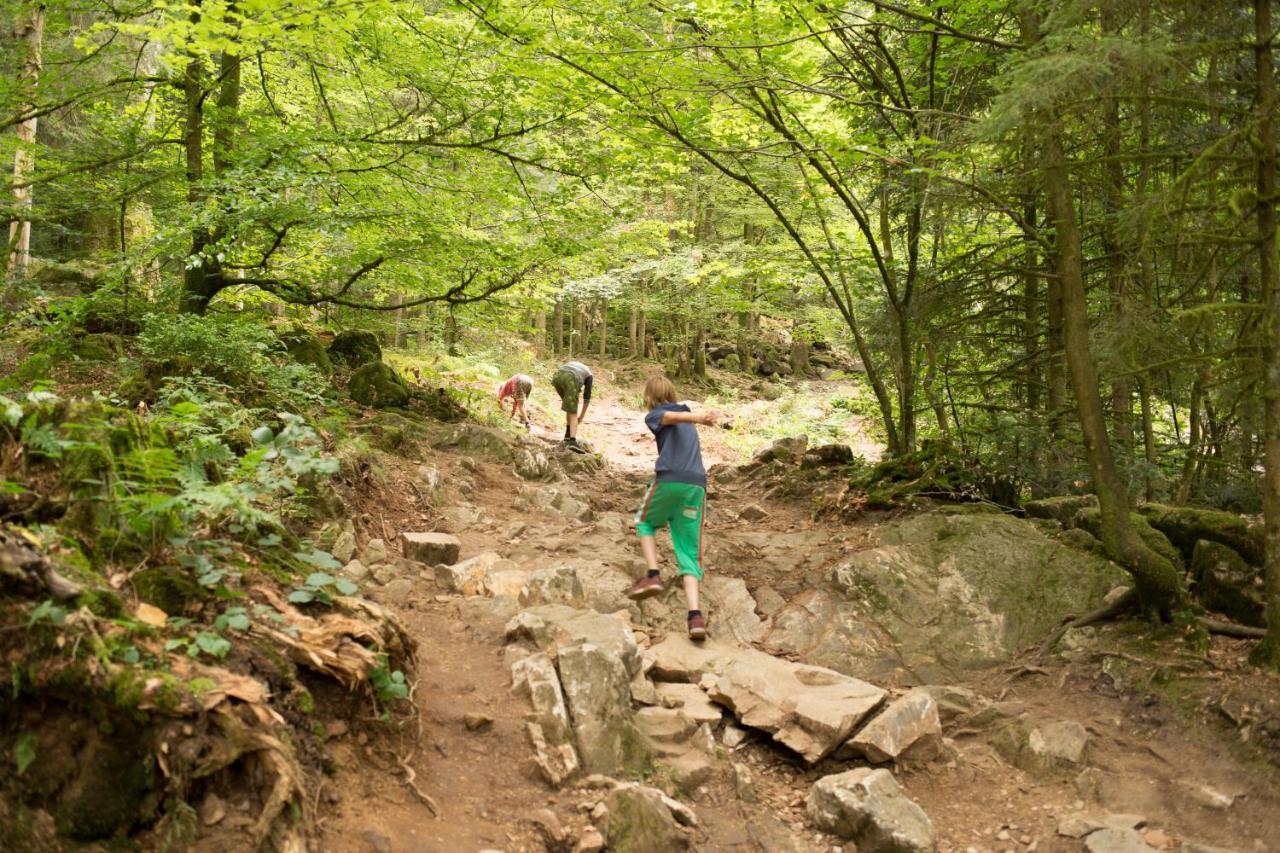 Europe Tents Camping Domaine Des Messires Herpelmont 外观 照片