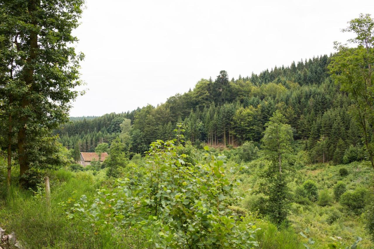 Europe Tents Camping Domaine Des Messires Herpelmont 外观 照片